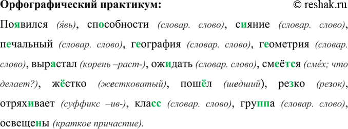 Изображение Орфографический практикум 29 ГДЗ Рыбченкова Александрова 7 класс
